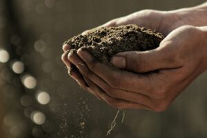 soil