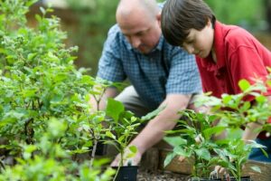 care for your garden supplementing