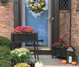 MegKellyIMG_9766